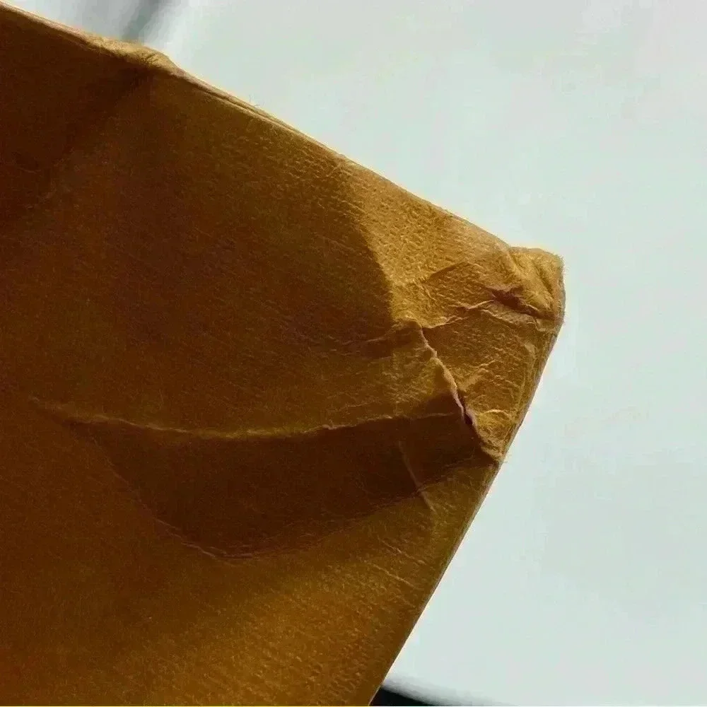 Louis Vuitton large paper shopping gift bag LV